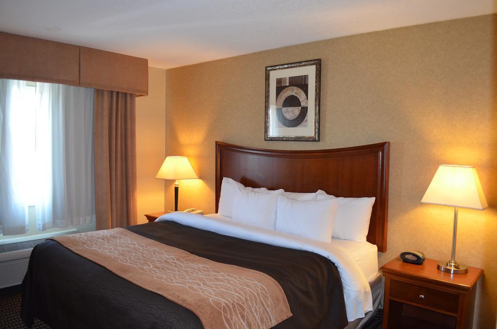 Comfort Inn & Suites Vancouver Downtown City Center Екстер'єр фото