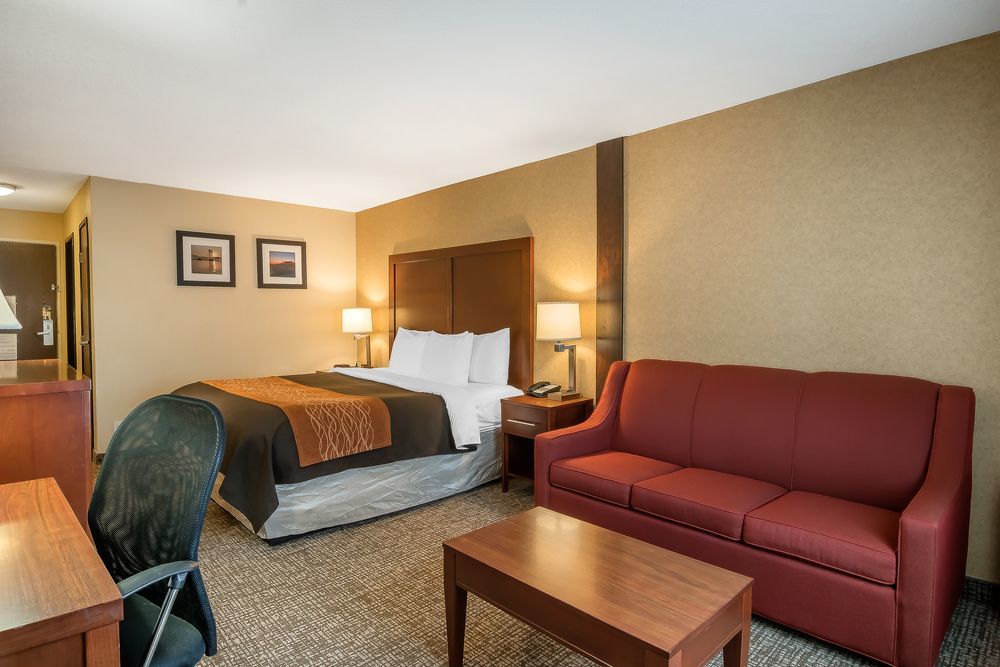 Comfort Inn & Suites Vancouver Downtown City Center Екстер'єр фото